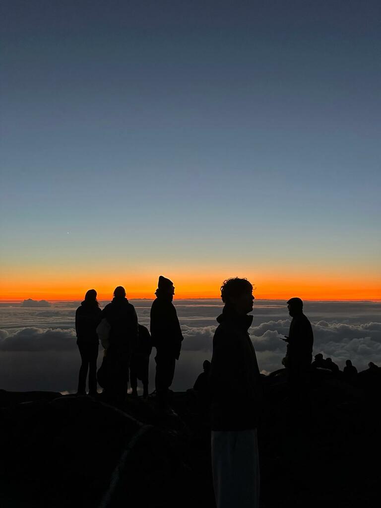 Dienstagmorgen – Erasmus Version (Mardi matin – Version Erasmus)