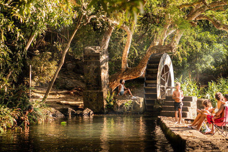 Kreolischer Winter (Hiver créole) 
